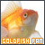 Fanlisting icon for Goldfish (Specially Unique).