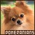 Fanlisting icon for Pomeranians (Poof).